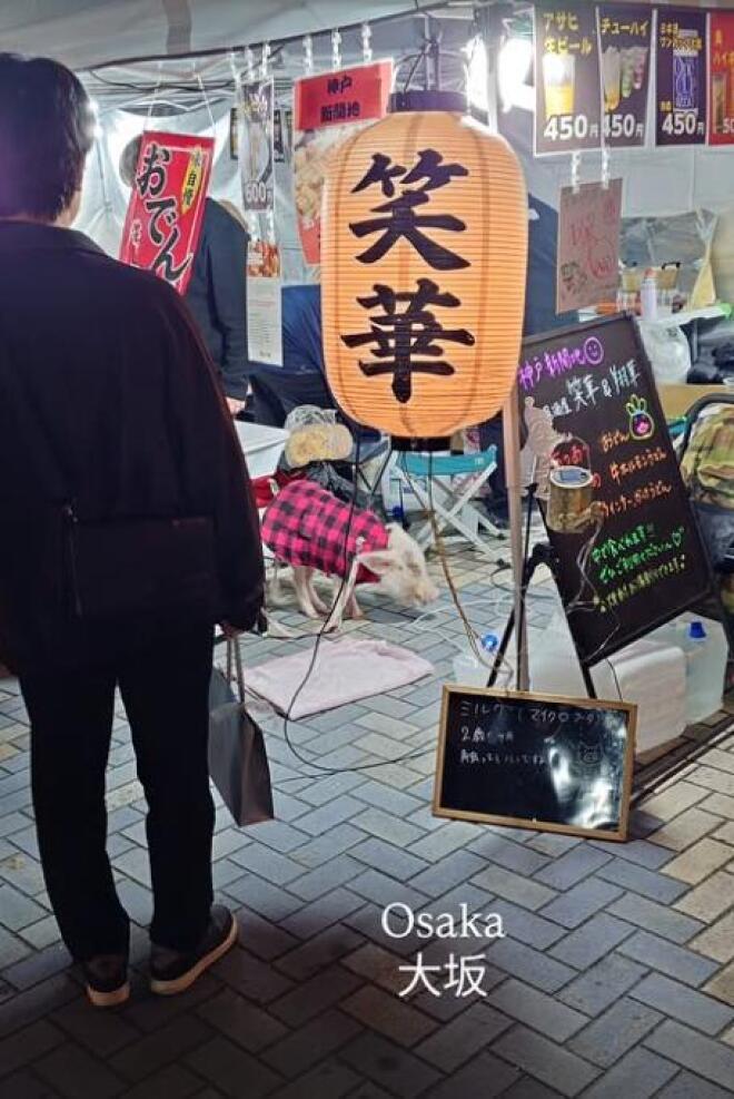 Σωτήρης Κοντιζάς: Το ταξίδι στην Ιαπωνία με τη σύζυγό του και τα παιδιά τους – Φωτογραφίες