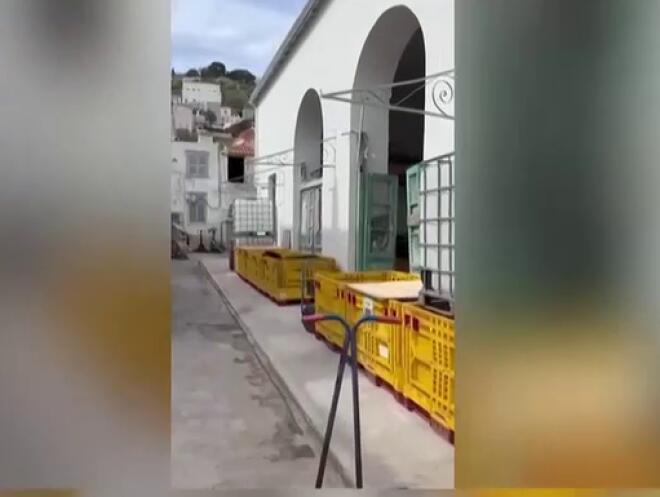 Brad Pitt: Προετοιμασίες στην Ύδρα για τα γυρίσματα της ταινίας που θα πρωταγωνιστεί/ screenshot από «Το Πρωινό»