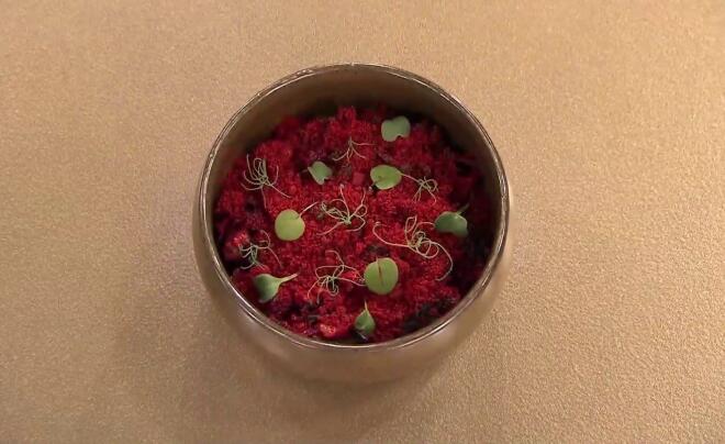 MasterChef: Το πιάτο αντιγραφής που έφερε ο Αλέξανδρος Χαραλαμπόπουλος