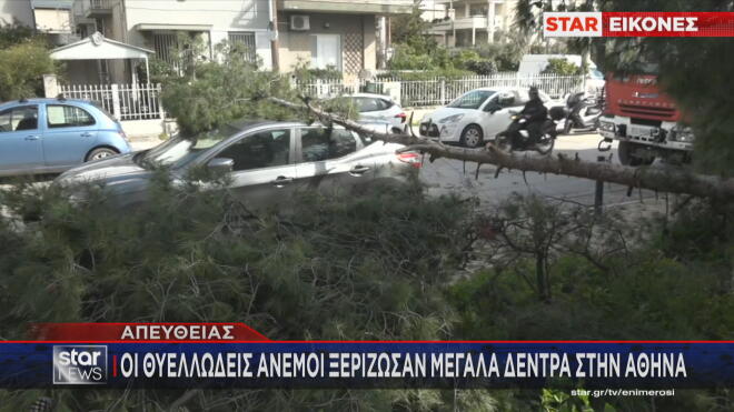 Πεσμένο δέντρο από τους θυελλώδεις ανέμους στην Αθήνα  