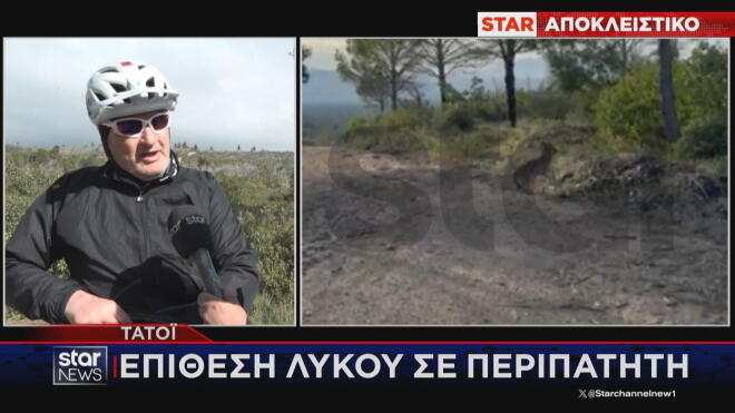 Επίθεση λύκου στο Τατόι