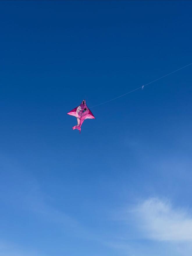 Ηλιάνα Παπαγεωργίου: Φωτογραφίες από την απόδρασή της στην Πάτρα για την Καθαρά Δευτέρα
