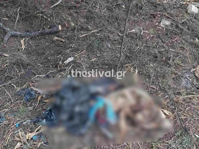 Ανθρώπινα μέλη εντοπίστηκαν μέσα σε σακούλα στο Πευκοχώρι Χαλκιδικής - thestival.gr