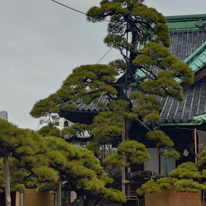 Ο Κοντιζάς με την οικογένειά του στο «χωριό» του στην Ιαπωνία