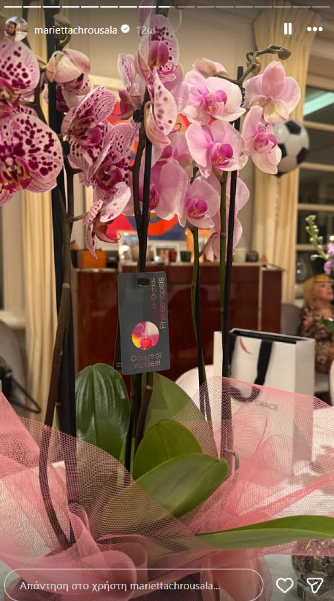 Μαριέττα Χρουσαλά: Το σπίτι της γέμισε λουλούδια για τα γενέθλιά της