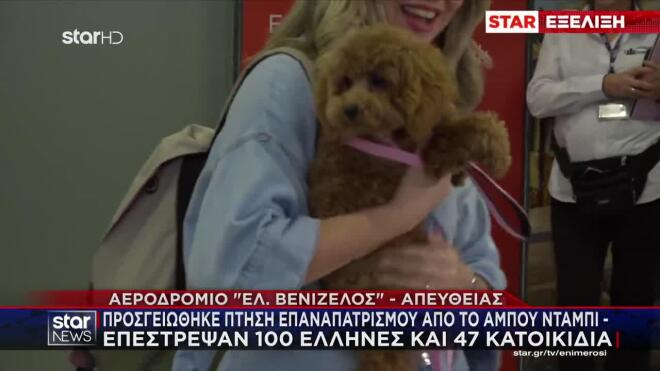 Έλληνες από το Άμπου Ντάμπι επέστρεψαν στην Ελλάδα με τα κατοικίδιά τους