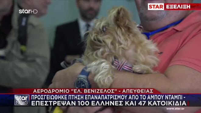 Επαναπατρισμός Ελλήνων με κατοικίδα