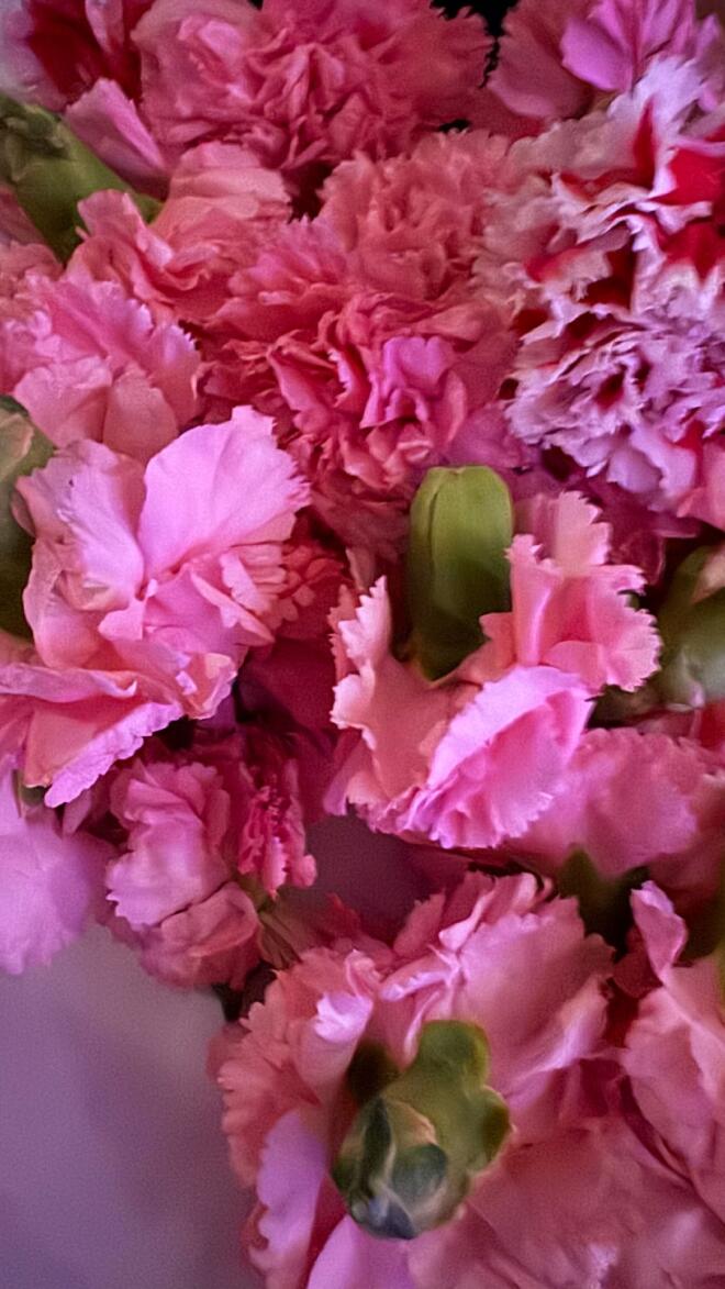 Μπέττυ Μαγγίρα on fire! Ξεσήκωσε τους πάντες με τον χορό της