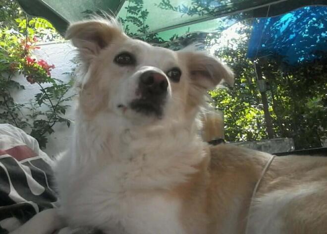 Σε λατρευω Σπιθουνι μου πανεμορφο!