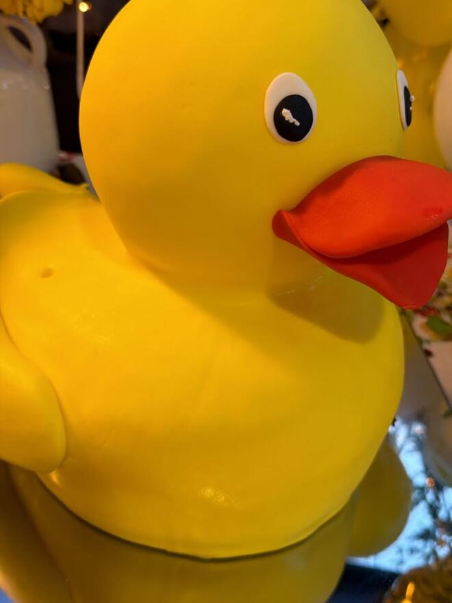 Ελένη Τσολάκη: H τούρτα παπάκι για τα πρώτα γενέθλια της κόρης της/ instagram