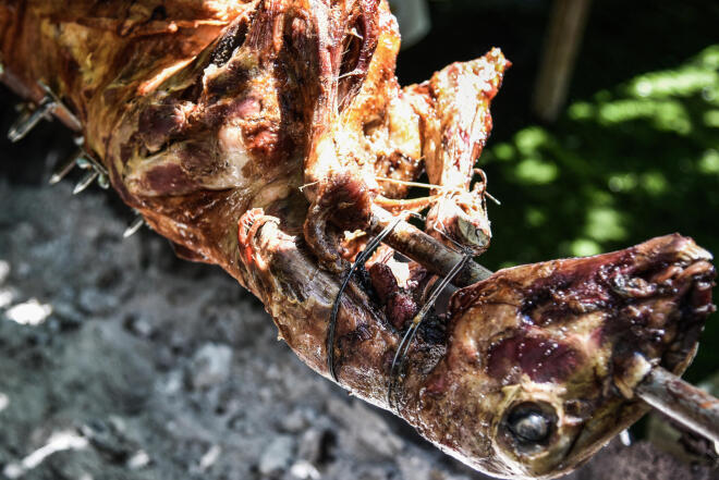 Παραδοσιακό έθιμο το σούβλισμα του οβελία την Κυριακή του Πάσχα- Εικόνα από την Πρέβεαζα/ Eurokinissi Γιώργος Ευσταθίου