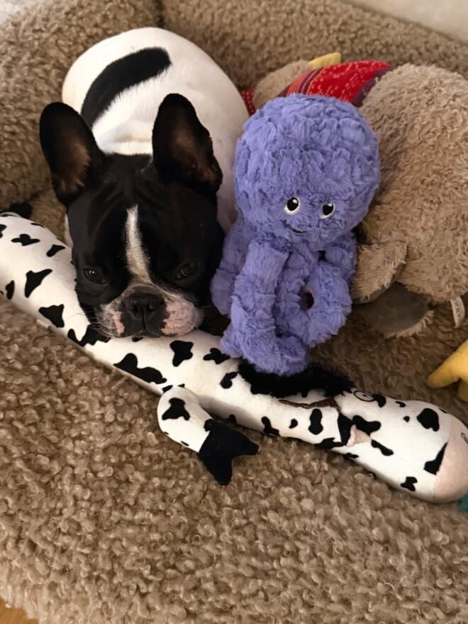 Κατερίνα Καινούργιου: Μετρά αντίστροφα για τον ερχομό της κόρης της