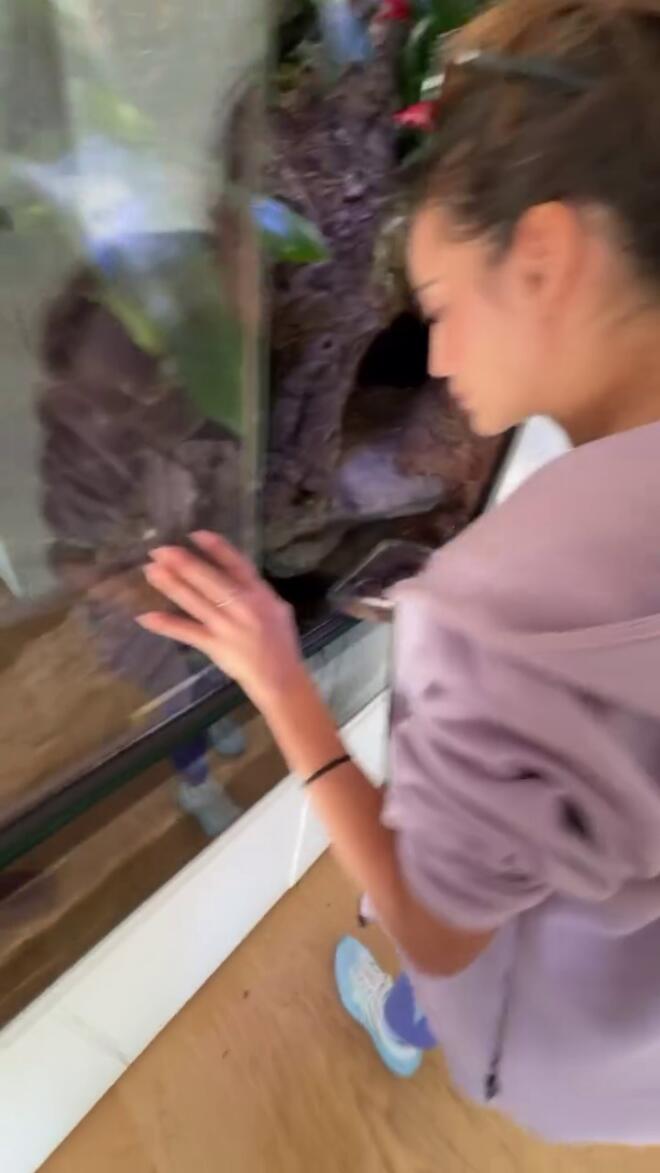 H Ρία Ελληνίδου στο terrarium στο σπίτι του Αλεξάνδρου/ Instagram