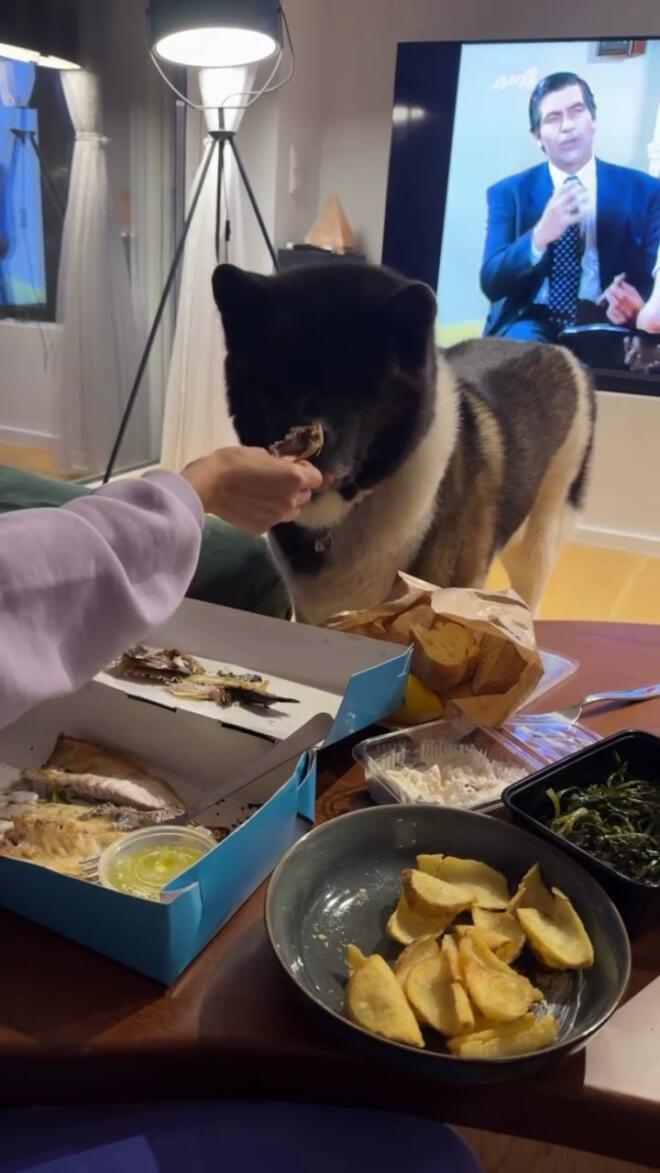 H Ρία Ελληνίδου ταϊζει τη Love, το σκυλί του Αλεξάνδρου/ Instagram