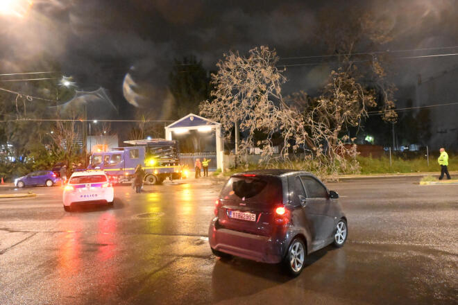 Από τους θυελλώδεις ανέμους έπεσαν δέντρα στη Γλυφάδα - Eurokinissi