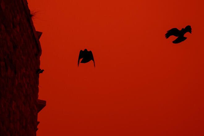 Κλειστά σήμερα τα σχολεία στην Κρήτη λόγω της αφρικανικής σκόνης - Eurokinissi