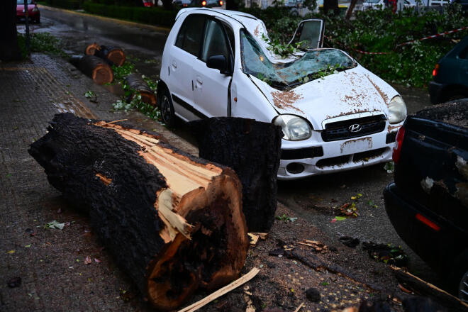 Πτώση δέντρων στη Γλυφάδα - Intimenews