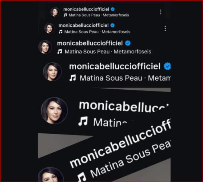 Ο Βλάσσης Μπονάτσος στα stories της Μπελούτσι