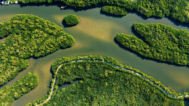 biodiversity