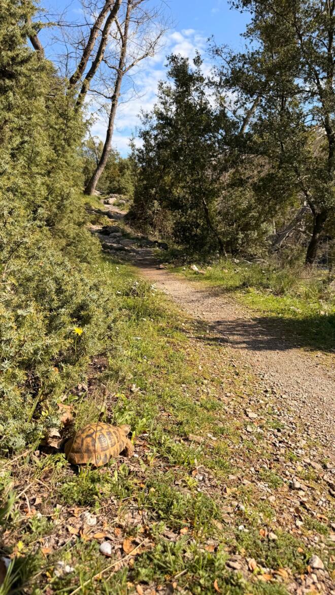 Κατερίνα Δαλάκα - Θέμης Αμβροσιάδης: Στιγμιότυπα από την κυριακάτικη απόδρασή τους