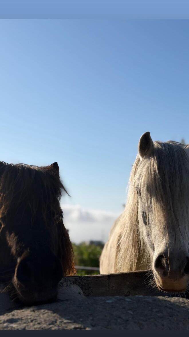 Πάσχα στην Πάτμο για την Μπαλατσινού: Το παραδοσιακό φαγητό που απόλαυσε!