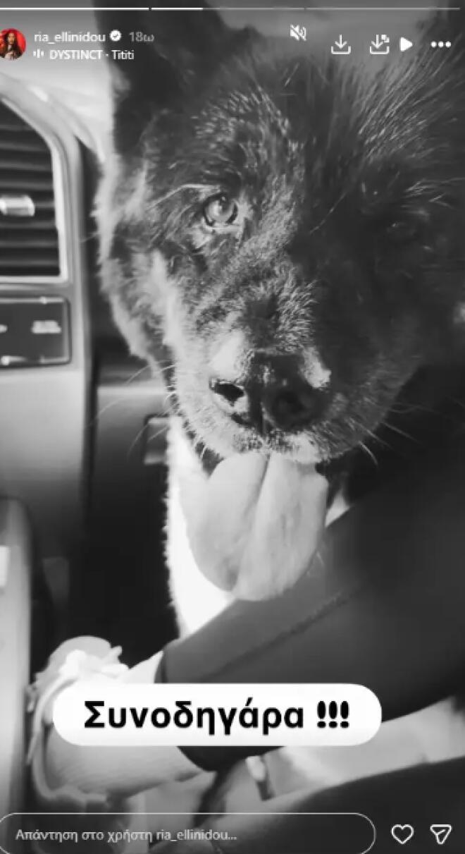 Δημήτρης Αλεξάνδρου: Στην Αράχωβα με τη Ρία Ελληνίδου και τον γιο του