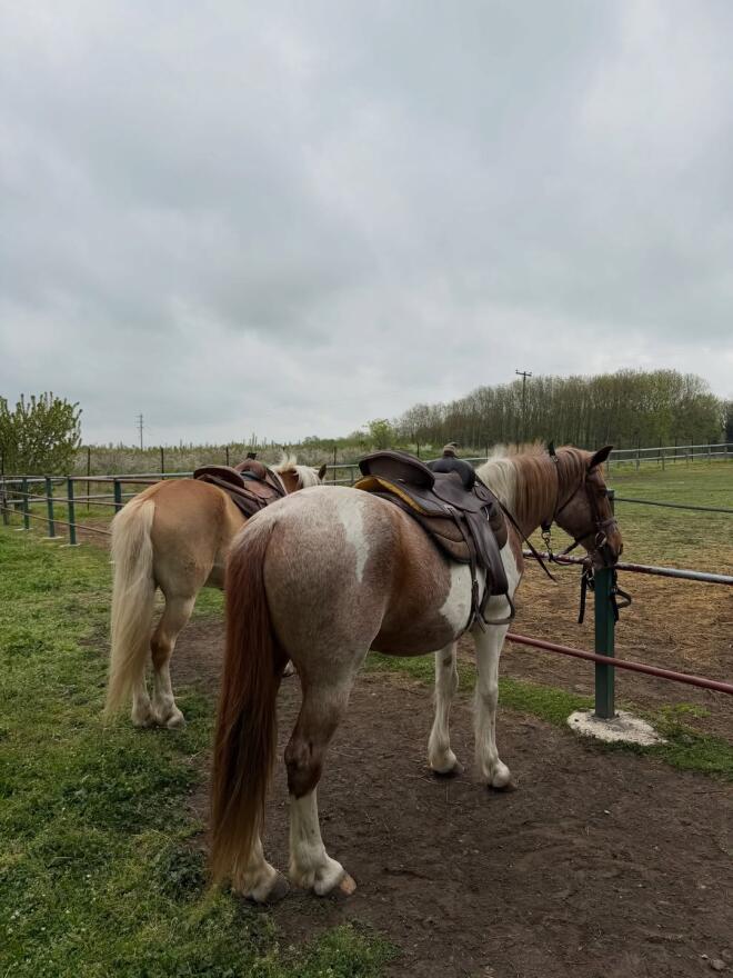 Ιωάννα Τούνη: Για ιππασία με τον γιο της, Πάρη και τους φίλους της
