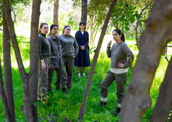 o teleftaios antartis