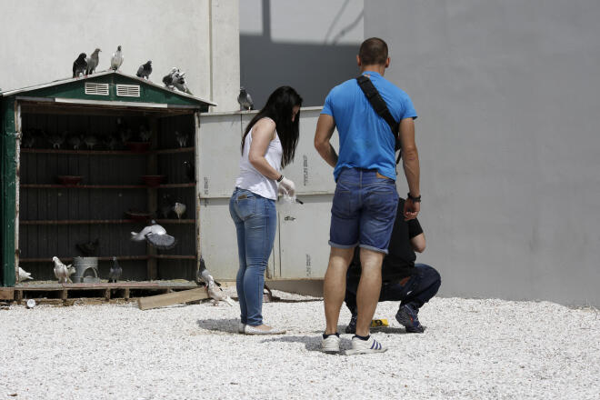 Έρευνες στο σχολείο όπου σκοτώθηκε ο Μάριος από αδέσποτη σφαίρα στο Μενίδι