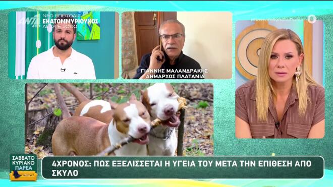 Κρήτη: Η κατάσταση υγείας του 4χρονου- Η ράτσα του σκύλου που του επιτέθηκε