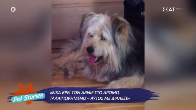 Γρηγόρης Αρναούτογλου: Η στιγμή που «λύγισε» μιλώντας για τον Arnie