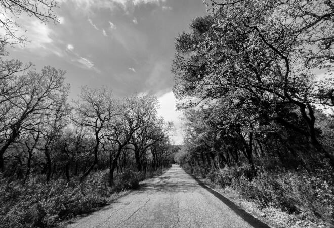 Χιόνια στην Πάρνηθα σήμερα 3/5/26- Eurokinissi Γιώργος Κονταρίνης