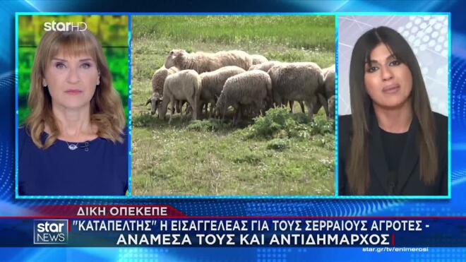 Δίκη ΟΠΕΚΕΠΕ: Καταπέλτης η εισαγγελέας για τους Σερραίους αγρότες