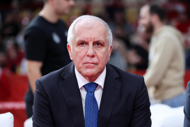 obradovic