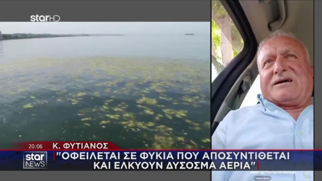 Φυτιανός: «Οφείλεται σε φύκια που αποσυντίθεται και εκλύουν δύσοσμα αέρια»