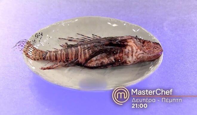 MasterChef 2026: Έρχεται η στιγμή-κλειδί πριν τη «Μητέρα των μαχών»!