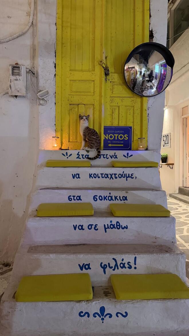 Ιωάννα Τούνη στη Νάξο/ instagram