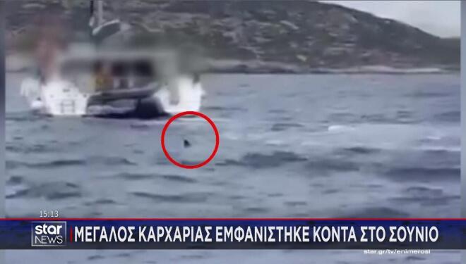 Η εμφάνιση καρχαρία κοντά στο Σούνιο