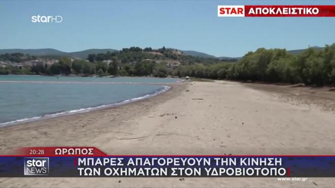 Ωρωπός: Γυναίκα έχασε τη ζωή της στην παραλία - Δεν μπορούσε να φτάσει το ασθενοφόρο