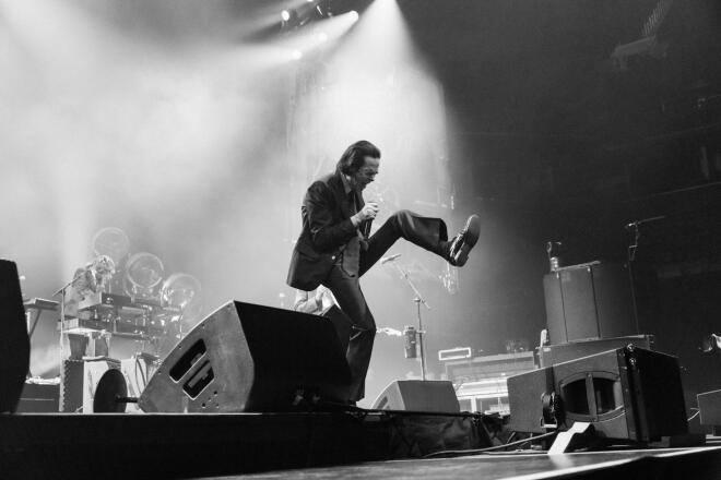 nick cave