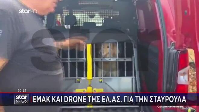 Εξαφάνιση Σταυρούλας Λεβεντάκη: ΕΜΑΚ και ντρόουν της ΕΛΑΣ στις έρευνες