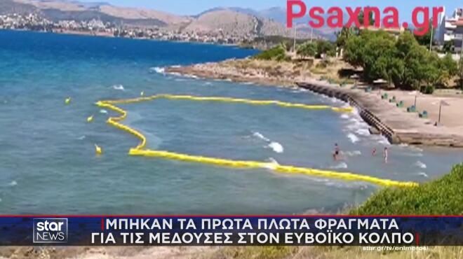 Μπήκαν τα πρώτα πλωτά φράγματα για μέδουσες στον Ευβοϊκό