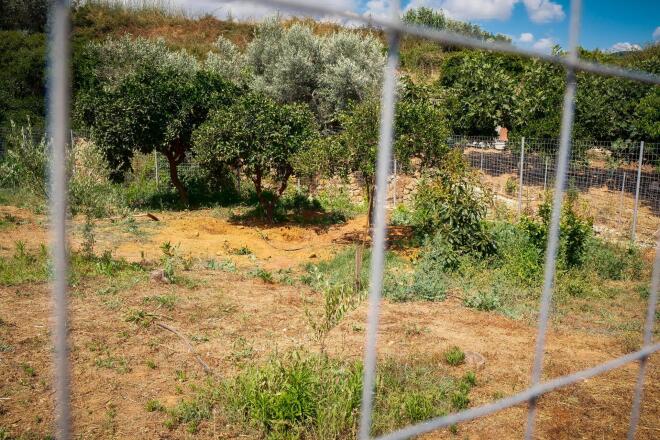 Όπως παραδέχθηκε ο 43χρονος αφού σκότωσε τη Σταυρούλα την έβαλε μέσα σε σακούλες και τη μετέφερε με το βαν του στο χωράφι του, όπου την έθαψε - Eurokinissi