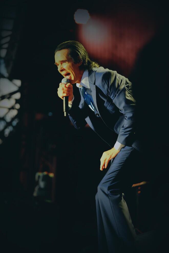 nick cave