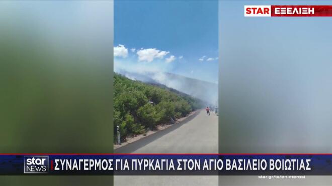 Μεγάλη πυρκαγιά στον Άγιο Βασίλειο Βοιωτίας