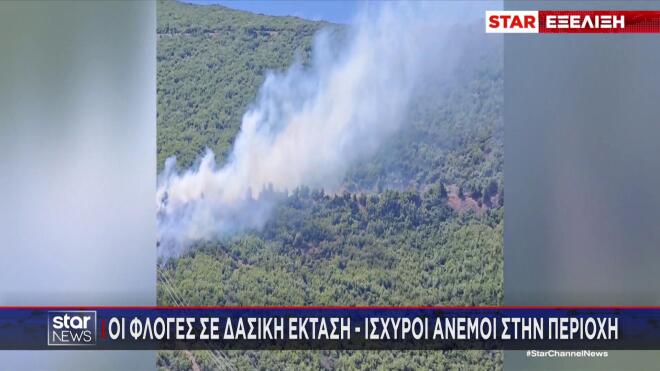 Μεγάλη πυρκαγιά στον Άγιο Βασίλειο
