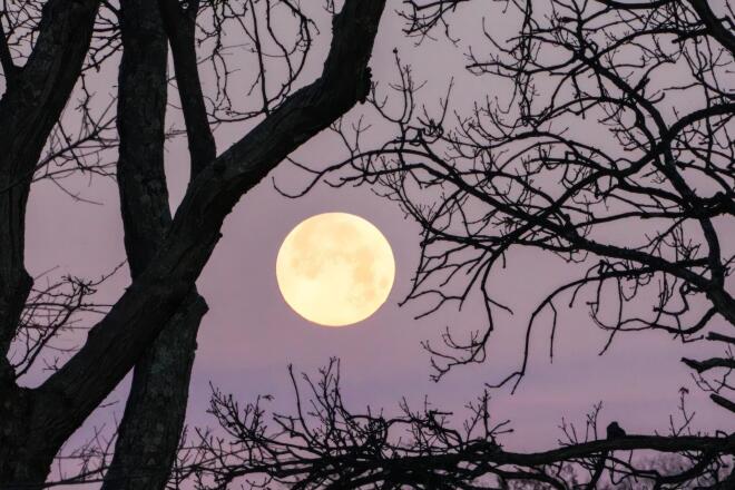 full moon