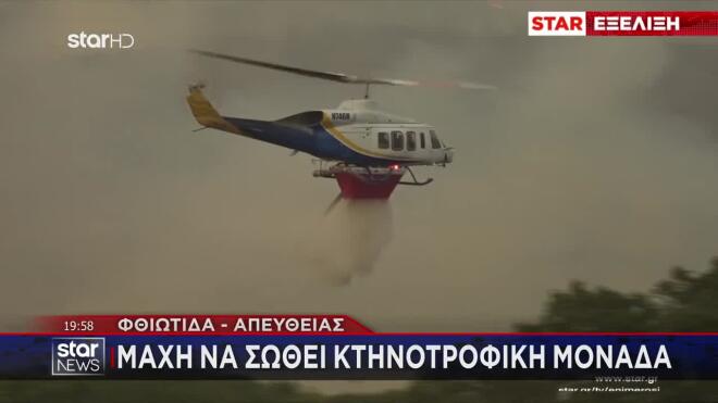 Φωτιά Φθιώτιδα: Γιγαντιαία επιχείρηση για να σωθούν περιουσίες