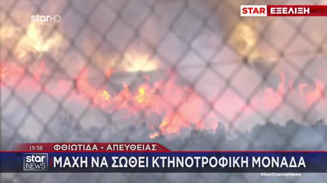 Φωτιά Φθιώτιδα: Ενεργές εστίες πριν πέσει η νύχτα