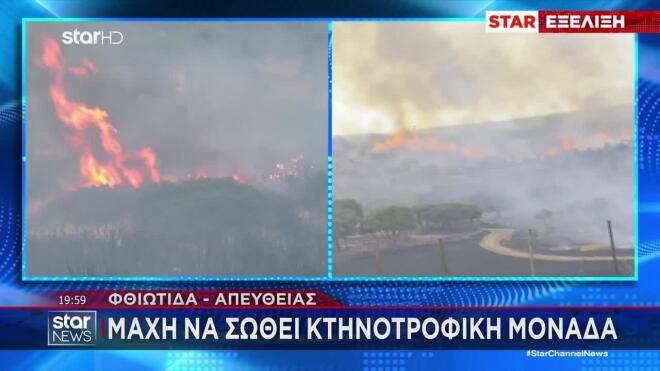 Φωτιά Φθιώτιδα: Εκκενώσεις οικισμών και οχυρωματικά έργα